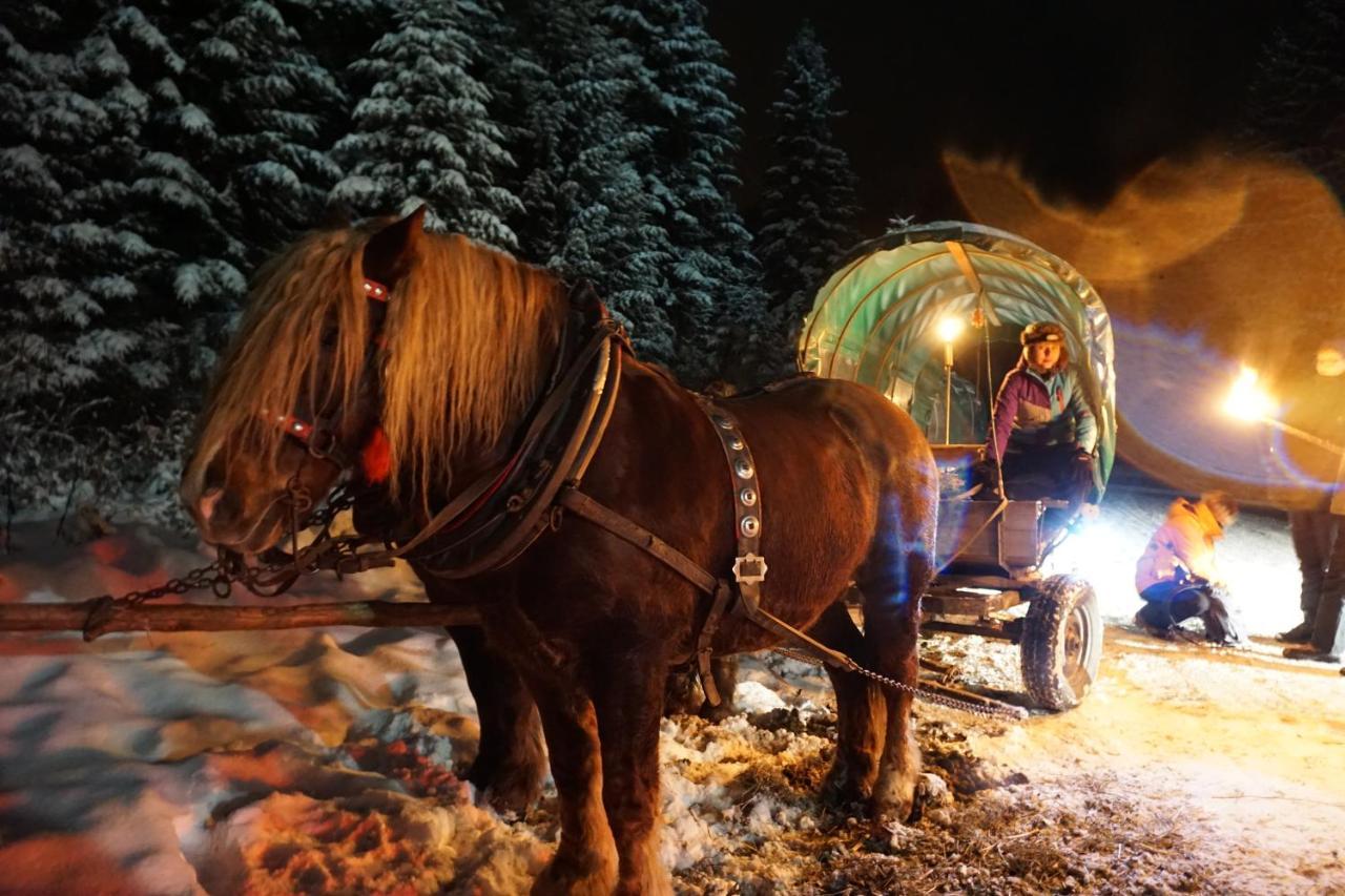 Chata Nad Roztokami Baligród Exterior foto